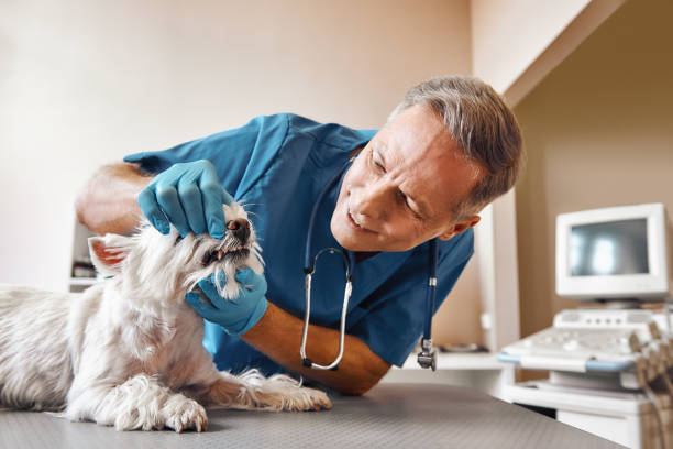 Best Emergency Tooth Extraction in Orlovista, FL